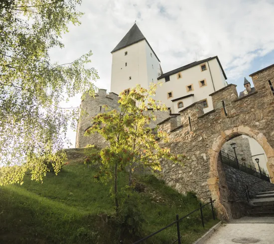 Mittelalterliche Steinburg mit Turm und Torbogen, umgeben von Bäumen im Sonnenlicht